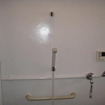 浴室・トイレ天井壁塗装